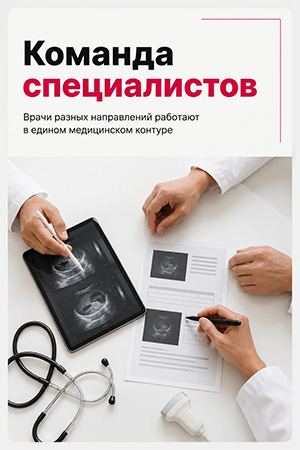 Команда специалистов